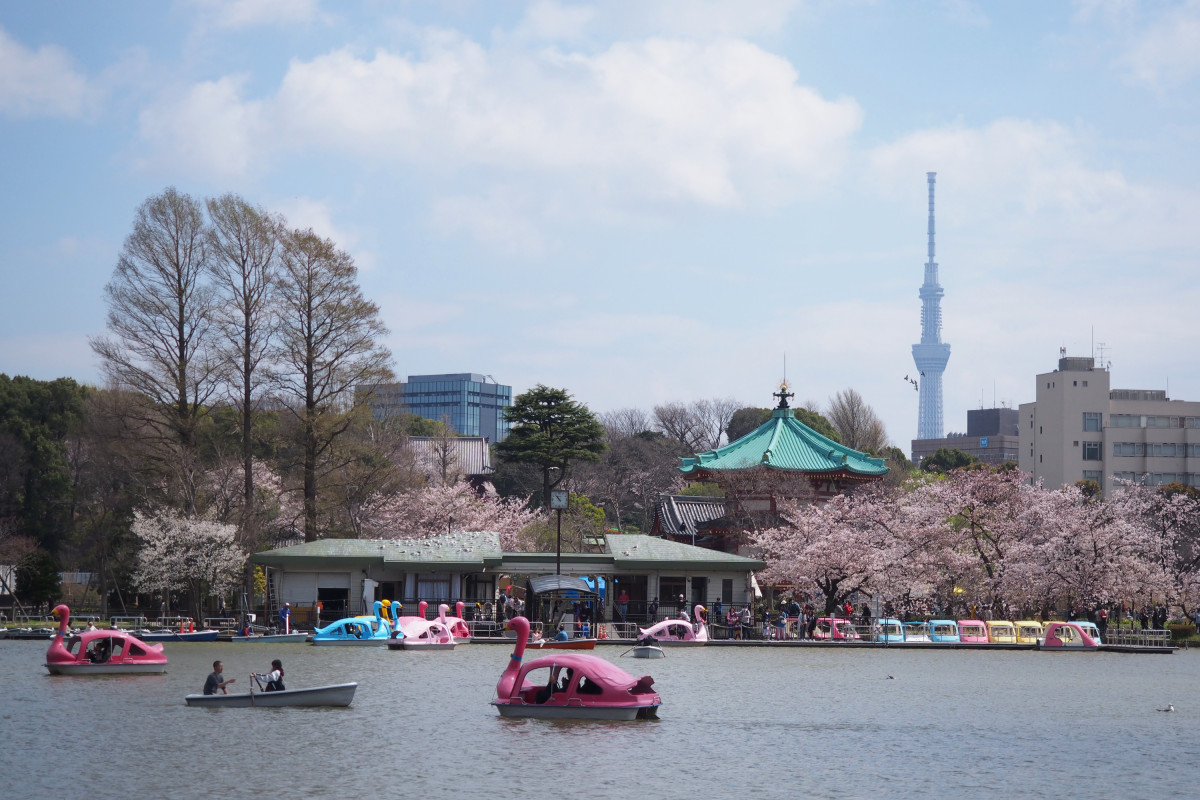 美術館・博物館に動物園 アメ横でも有名な「上野・御徒町」 ｜特集